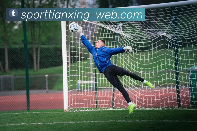 天行体育发展历程